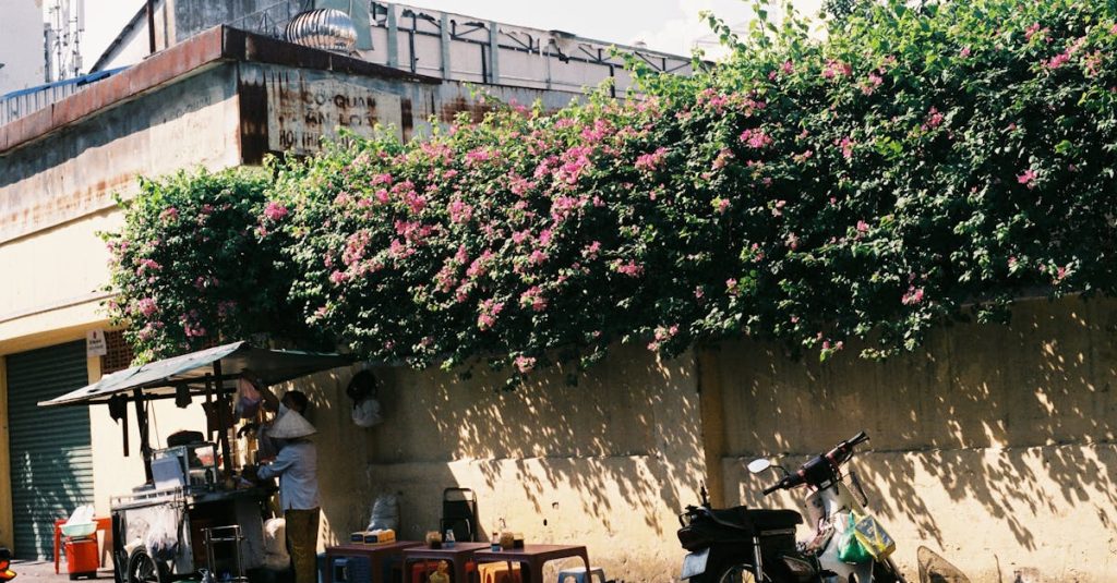 obtenez un bonus d'assurance moto avantageux pour protéger votre véhicule et bénéficier d'une couverture complète en cas d'accident, de vol ou de dommages.