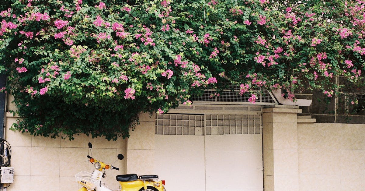 découvrez notre assurance moto complète pour protéger votre deux-roues et rouler l'esprit tranquille. obtenez une couverture fiable et sur mesure pour votre moto avec nos offres avantageuses.