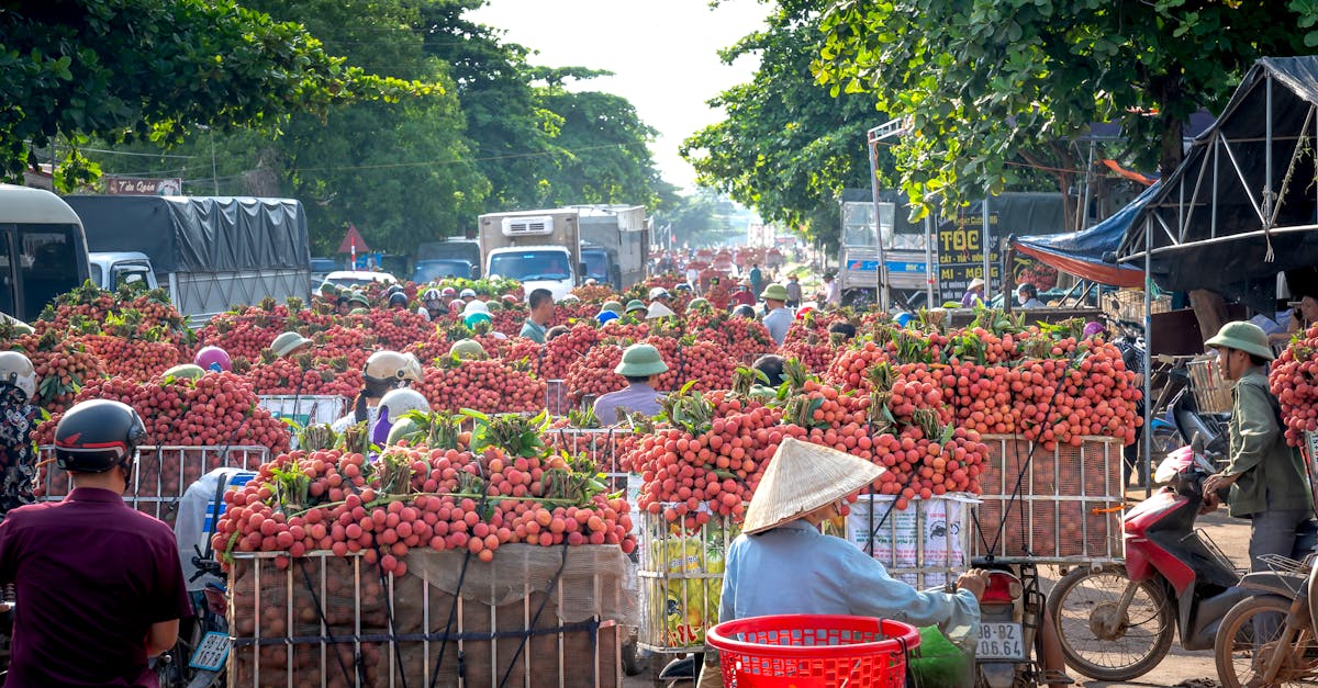 découvrez des options d'assurance moto adaptées à vos besoins. protégez votre véhicule deux-roues avec des garanties complètes, une assistance 24/7 et des tarifs compétitifs. comparez nos offres d'assurance moto pour rouler en toute sérénité.