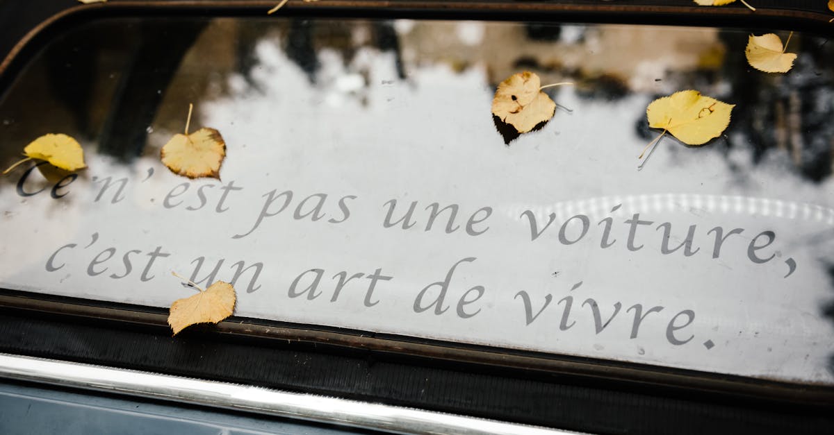 obtenez un devis d'assurance auto rapide et personnalisé. comparez les meilleures offres et choisissez la protection parfaite pour votre véhicule. assurez votre tranquillité d'esprit dès aujourd'hui.