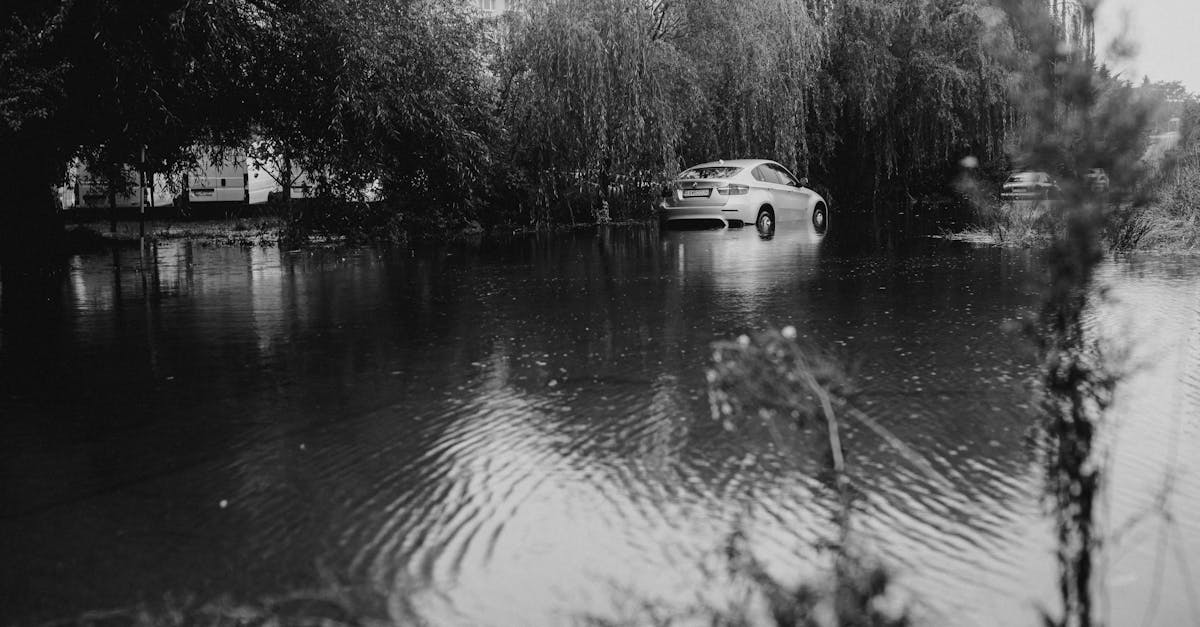 découvrez des options d'assurance auto abordables qui vous protègent sans vider votre portefeuille. comparez les prix, bénéficiez de couvertures adaptées à vos besoins et économisez sur vos primes d'assurance voiture.