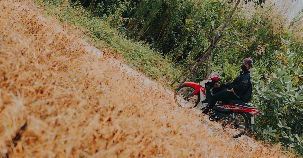 découvrez les meilleures options d'assurance pour motos en france. protégez votre véhicule et votre conduite avec des couvertures adaptées à vos besoins et à votre budget. comparez les offres et garantissez votre sécurité sur la route.