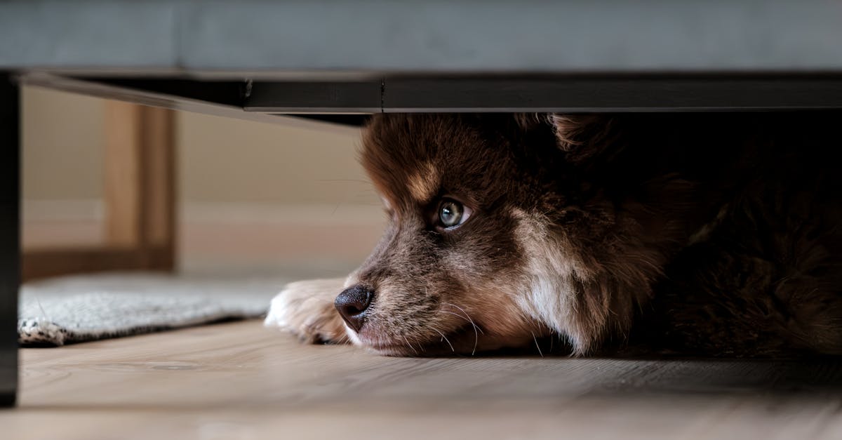 découvrez les meilleures pratiques et solutions pour garantir la sécurité de vos emails. protégez vos communications contre les menaces cybernétiques et assurez la confidentialité de vos informations sensibles.