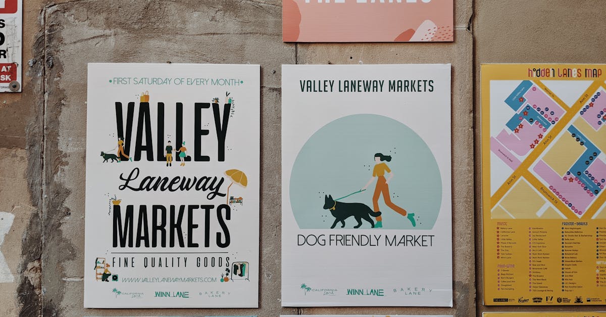 découvrez nos incroyables promotions ! profitez de réductions exclusives sur une large sélection de produits. ne manquez pas l'occasion d'économiser tout en vous faisant plaisir. consultez notre site pour des offres limitées.