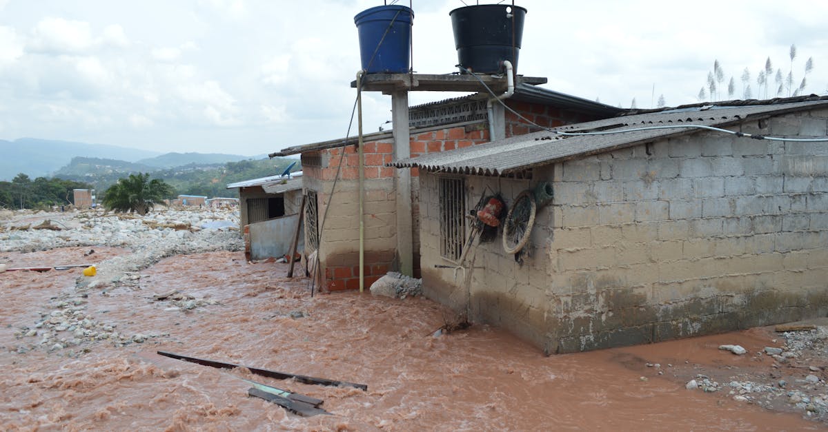 découvrez nos solutions efficaces pour traiter les dommages causés par l'eau dans votre maison. protégez votre propriété et restaurez votre confort avec nos conseils et services professionnels.