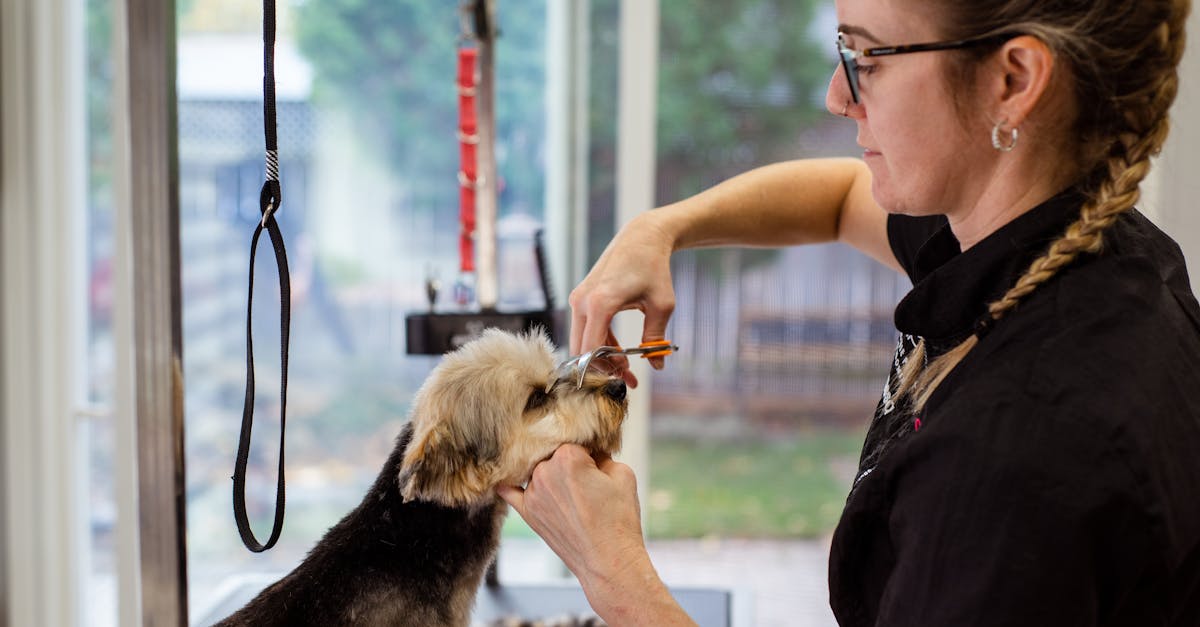 découvrez notre portail client, une plateforme intuitive et sécurisée qui vous permet de gérer vos services, consulter vos informations et interagir facilement avec notre équipe. accédez à vos données en temps réel et bénéficiez d'un support personnalisé, le tout en quelques clics.