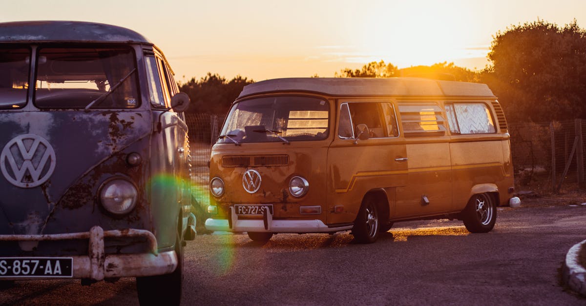 découvrez tout sur les furets, animaux de compagnie affectueux et joueurs. apprenez à les élever, les nourrir et les entretenir pour en faire un compagnon idéal.