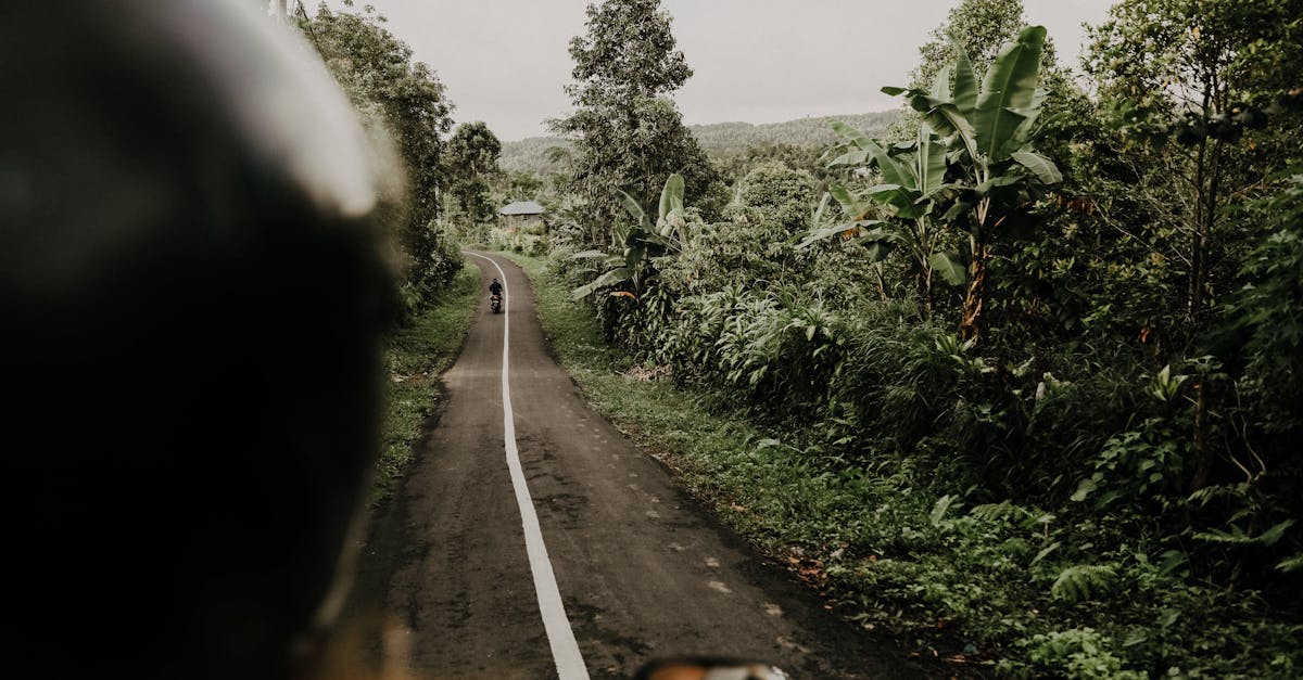 découvrez notre assurance moto verte, conçue pour les motards soucieux de l'environnement. profitez de garanties complètes à des prix compétitifs tout en contribuant à la protection de notre planète.