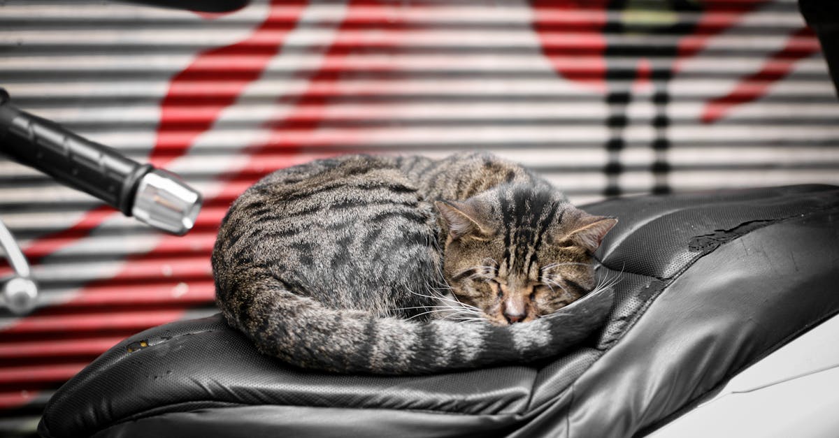 découvrez notre assurance moto sur mesure, conçue pour protéger votre deux-roues et vous offrir une tranquillité d'esprit sur la route. profitez de garanties adaptées à vos besoins et d'un service client responsive pour une expérience optimale.