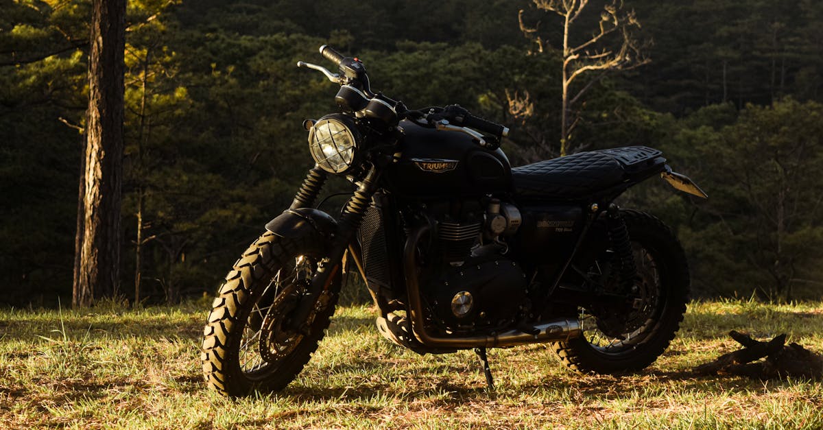 rejoignez le mouvement et découvrez la passion des motards qui se rassemblent pour sensibiliser sur des enjeux importants lors de la manifestation à moto. un événement vibrant mêlant action, camaraderie et expression libre de la passion motocycliste.