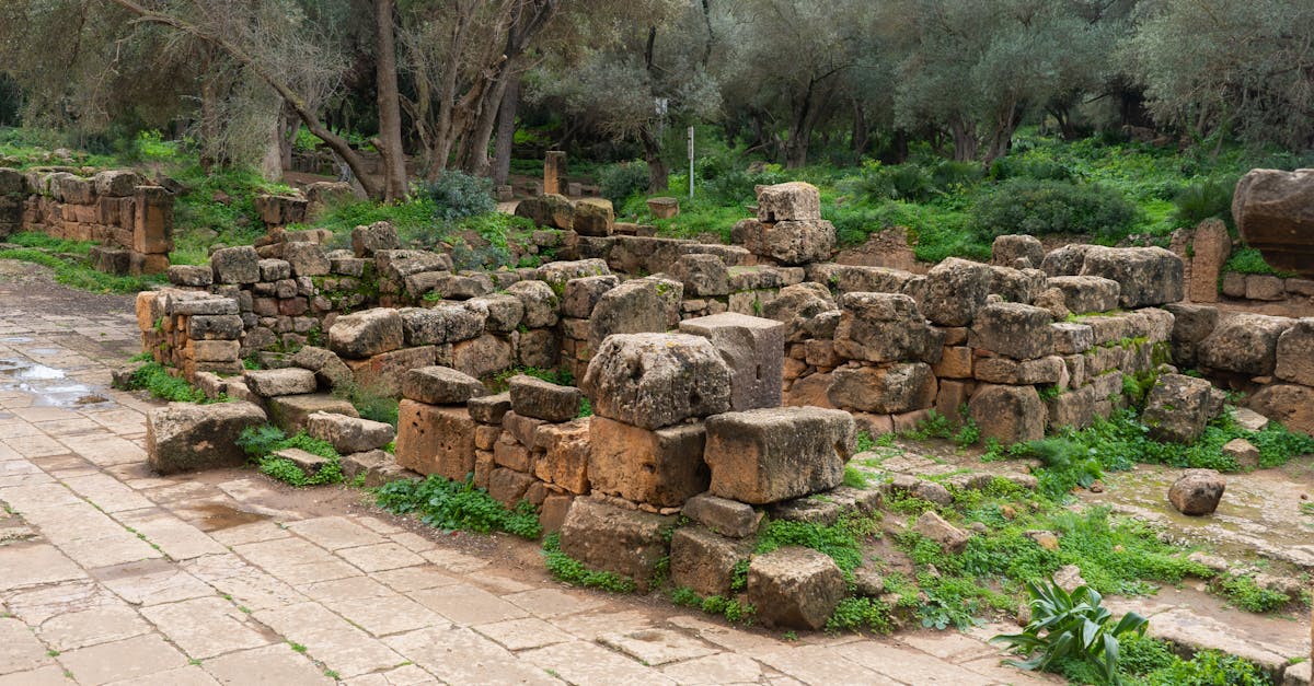 découvrez des stratégies efficaces d'optimisation du temps pour améliorer votre productivité et atteindre vos objectifs plus rapidement. transformez votre quotidien grâce à des astuces simples et des outils pratiques.