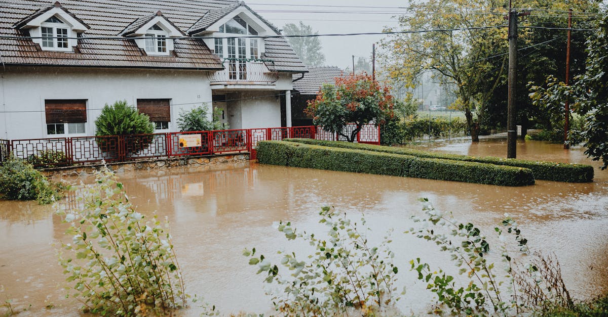 découvrez comment gérer efficacement les dégâts des eaux, des conseils pratiques pour prévenir les dommages, et des solutions pour restaurer votre espace après une inondation. protégez votre maison et votre santé avec nos experts en sinistres.