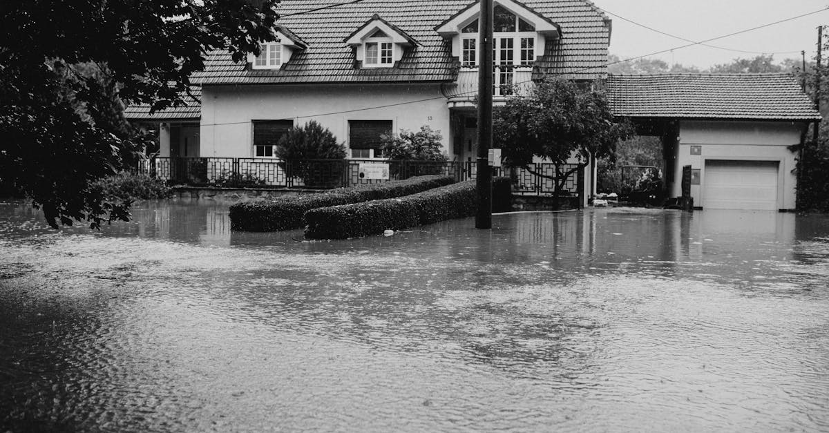 découvrez les causes et les solutions du dommage des eaux. protégez votre maison contre les infiltrations et les dégâts liés à l'humidité grâce à nos conseils d'experts.