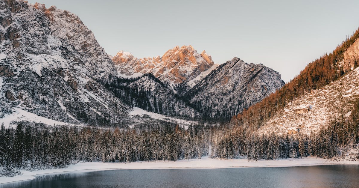 découvrez les meilleures pratiques de winterization pour protéger votre maison et vos équipements durant l'hiver. apprenez à préparer votre espace extérieur, à isoler vos fenêtres et à entretenir vos systèmes de chauffage pour passer la saison froide en toute sérénité.