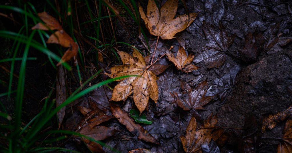 découvrez ce qu'est un rib change, son impact sur vos transactions bancaires et comment effectuer ce changement facilement. restez informé sur les meilleures pratiques et conseils pour gérer vos relevés d'identité bancaire.