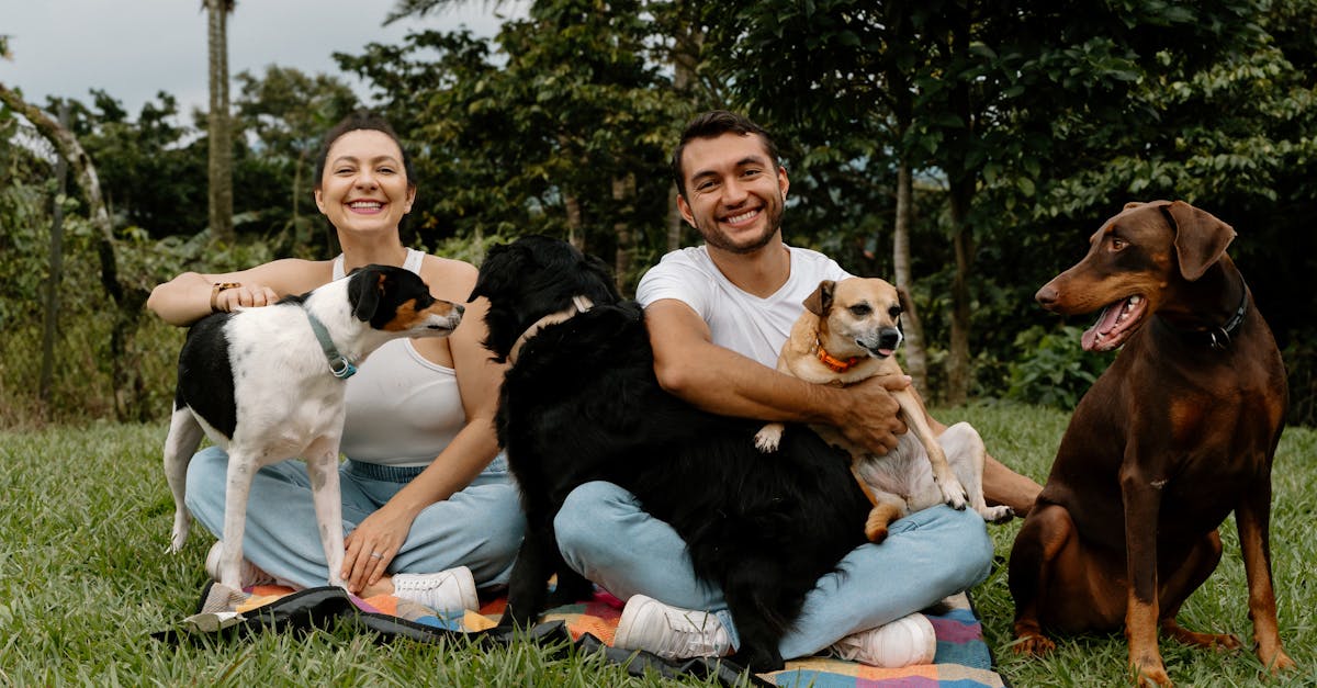 découvrez les avantages et les conseils pour vivre une relation épanouie en tant que couple bonus. explorez les stratégies pour harmoniser les familles recomposées et renforcer les liens entre partenaires et enfants.