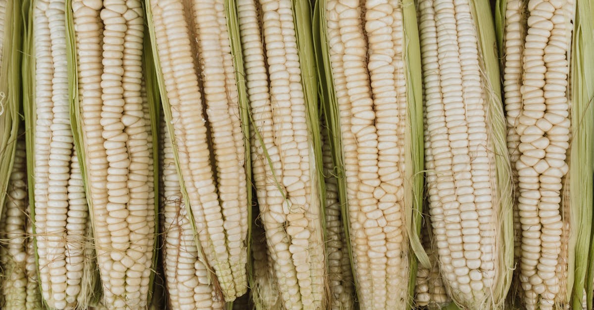 découvrez la gmf, l'assureur qui vous accompagne dans tous les moments de votre vie. bénéficiez de solutions d'assurances adaptées à vos besoins et profitez de services personnalisés pour protéger votre famille, votre habitation et votre véhicule.