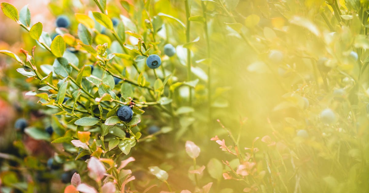 découvrez gmf, votre partenaire assurance de confiance en france. profitez de nos solutions adaptées pour protéger votre famille, votre véhicule et votre habitation. bénéficiez d'un service client à l'écoute et d'offres exclusives pour un meilleur quotidien.