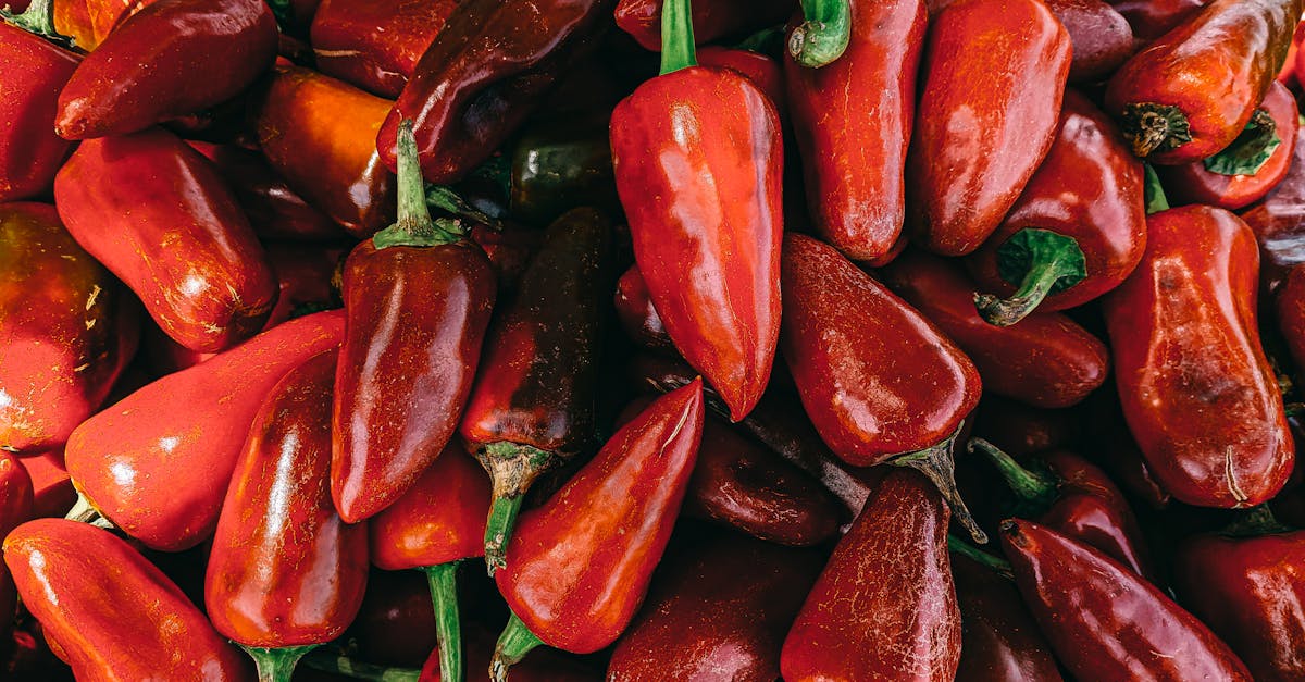 découvrez gmf, votre assureur de confiance proposant des solutions adaptées à vos besoins en assurance auto, habitation et santé. profitez d'un service de qualité et d'une expertise reconnue pour protéger ce qui compte le plus pour vous.