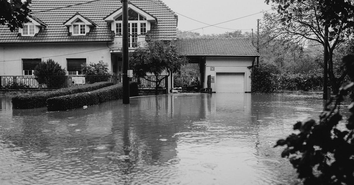 découvrez comment gérer efficacement votre réclamation pour dommages dus à l'eau. obtenez des conseils pratiques pour maximiser votre indemnisation et naviguer dans le processus complexe des assurances.