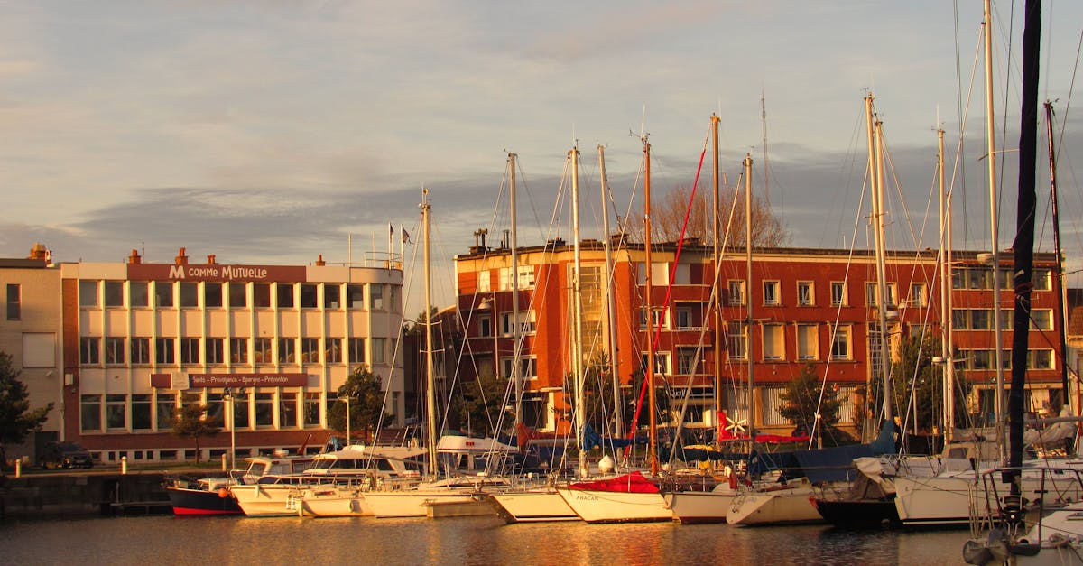 découvrez notre guide complet sur les mutuelles : choisissez la couverture santé adaptée à vos besoins, comparez les offres et bénéficiez d'un meilleur remboursement de vos frais médicaux.