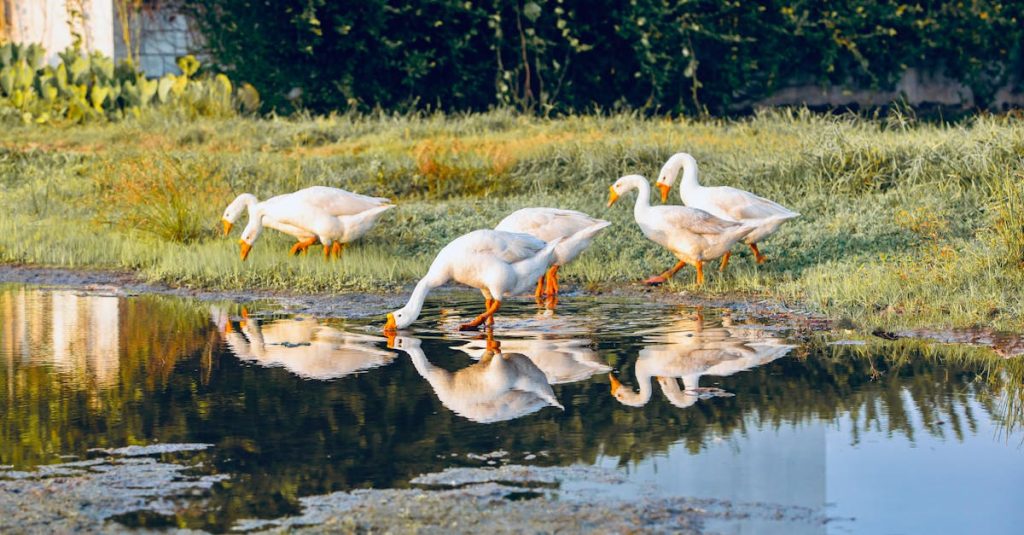 bénéficiez d'une assistance gratuite et professionnelle pour répondre à toutes vos questions. notre équipe est là pour vous aider, que ce soit pour des conseils, des informations ou des solutions adaptées à vos besoins.