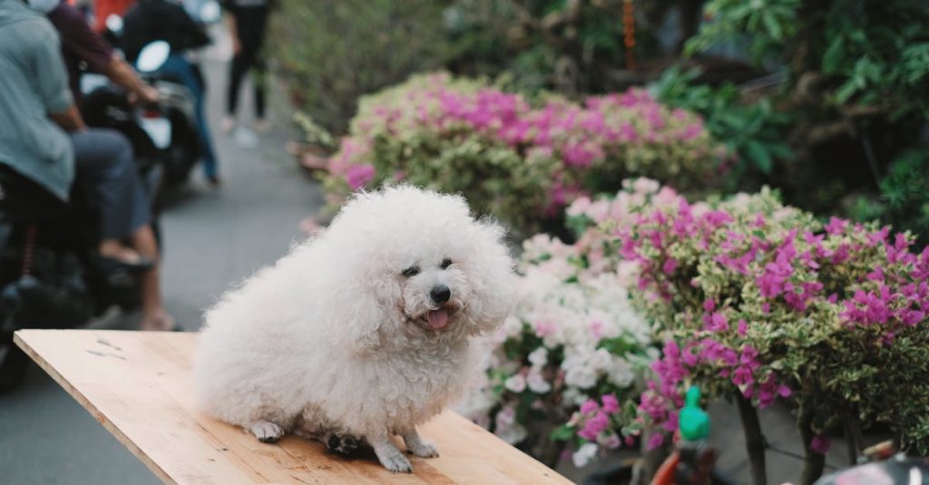 découvrez l'assurance moto d'april : des solutions sur-mesure pour protéger votre véhicule et garantir votre tranquillité d'esprit sur la route. profitez de couvertures adaptées à vos besoins et d'un service client à votre écoute.