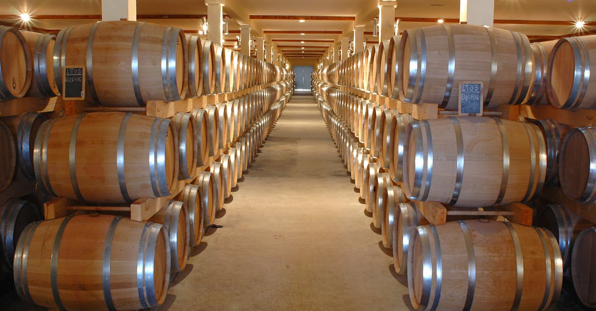 découvrez amv bordeaux, votre expert en assurance pour véhicules. profitez d'offres personnalisées, d'un service client à l'écoute et de solutions adaptées à vos besoins. conduisez en toute sérénité avec amv bordeaux.