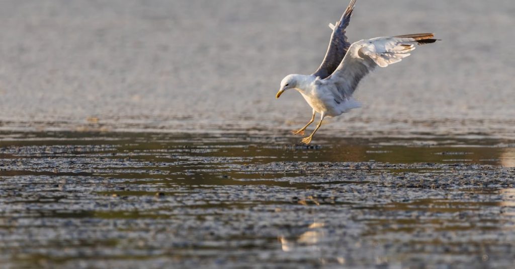 découvrez les avantages d'amt topaz, une solution innovante qui optimise votre expérience utilisateur grâce à ses fonctionnalités avancées, sa flexibilité et sa performance inégalée. idéale pour les professionnels en quête de productivité et de simplicité, amt topaz se démarque par son efficacité et son interface conviviale.