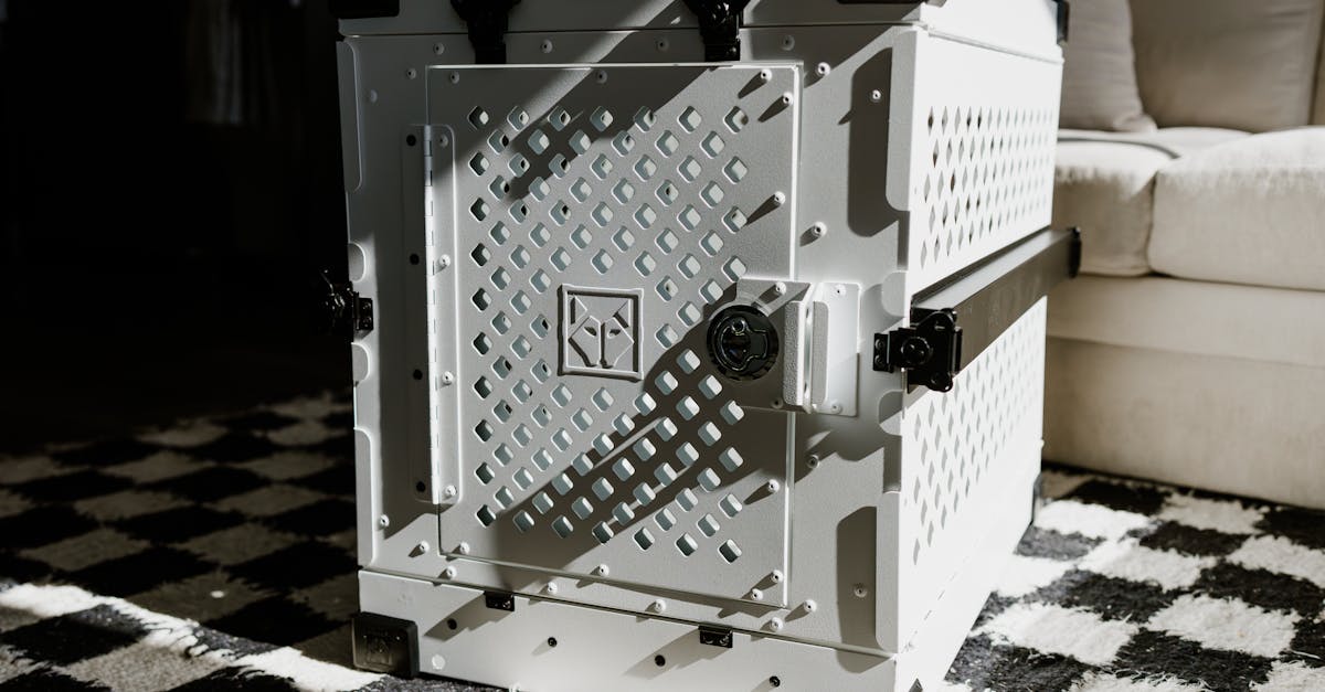 découvrez nos garanties exceptionnelles qui vous offrent tranquillité d'esprit et confiance dans vos achats. profitez d'une protection complète et d'un service client dédié pour répondre à tous vos besoins.