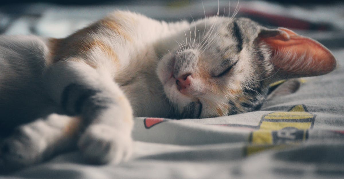 découvrez l'univers fascinant de l'anime, une forme d'art audiovisuel japonaise captivante qui mélange aventure, romance et imagination. plongez dans des histoires inoubliables et des personnages charismatiques qui vous transporteront dans des mondes extraordinaires.