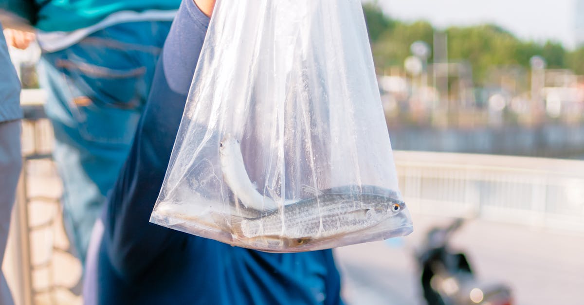 protégez votre moto avec notre assurance spécialisée : une couverture complète et des tarifs compétitifs pour une tranquillité d'esprit sur la route. obtenez un devis personnalisable en quelques clics !