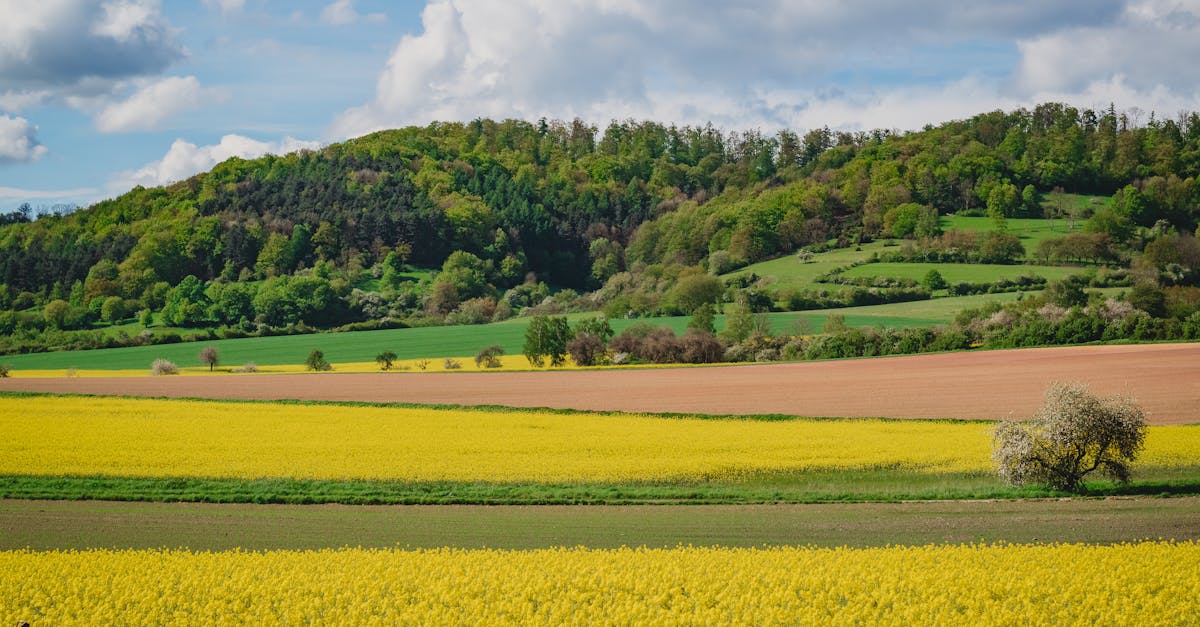 découvrez le concept de 'non-surcharged', une approche qui privilégie la simplicité et l'efficacité, permettant une expérience optimale sans surcharge d'informations ou de distractions. apprenez comment cette méthode peut transformer votre quotidien et améliorer vos performances.