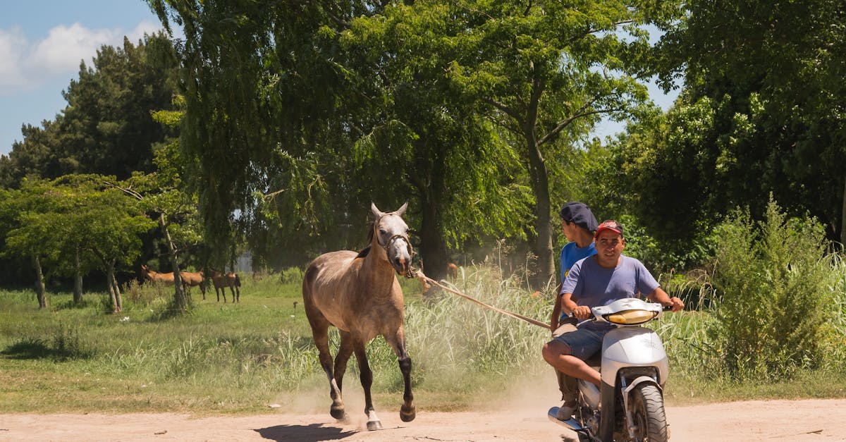 découvrez notre assurance scooter adaptée à vos besoins ! protégez votre véhicule à deux roues avec des options flexibles, une couverture complète et des tarifs compétitifs. profitez de la tranquillité d'esprit sur la route !