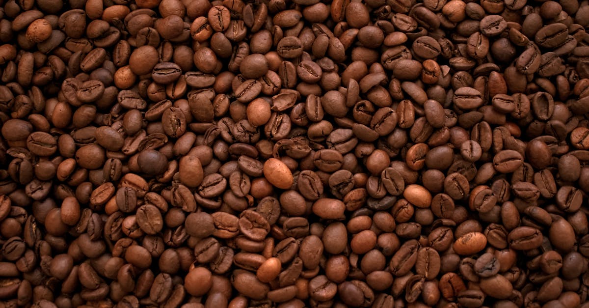 découvrez notre service d'abonnement qui vous permet d'accéder à du contenu exclusif, des réductions et des avantages inégalés. rejoignez-nous et profitez d'une expérience personnalisée adaptée à vos besoins.