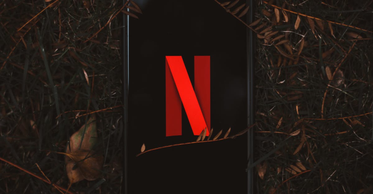 découvrez nos options d'abonnement qui vous permettent de profiter d'offres exclusives, de contenus premium et de services personnalisés. rejoignez une communauté engagée et restez à jour avec les dernières nouveautés grâce à nos abonnements flexibles adaptés à vos besoins.