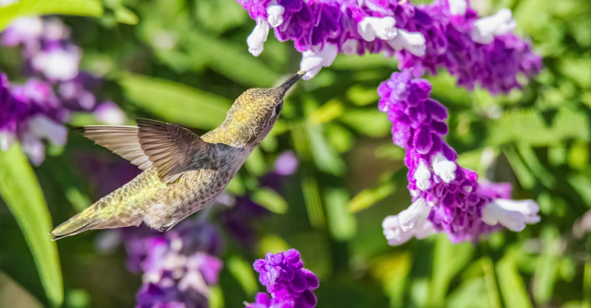 découvrez la topaze garantie, votre solution de sécurité et de confiance pour des achats en toute sérénité. profitez de nos services de qualité supérieure pour protéger vos investissements et bénéficier d'une tranquillité d'esprit.