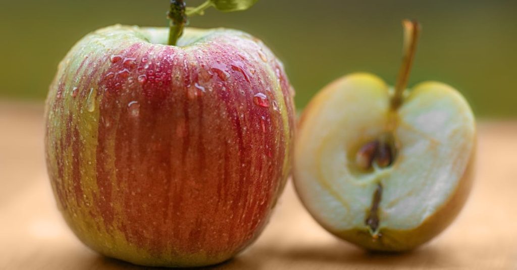 découvrez le système du bonus-malus, un mécanisme essentiel de la responsabilité civile automobile qui récompense les conducteurs prudents par des réductions sur leur prime d'assurance, tout en pénalisant les comportements à risque. informez-vous sur son fonctionnement et son impact sur vos tarifs d'assurance.