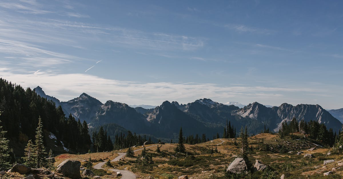 découvrez la mt-07, la moto sportive emblématique de yamaha qui allie performance, agilité et confort. avec son moteur puissant, son design moderne et sa maniabilité exceptionnelle, la mt-07 est idéale pour les passionnés de moto en quête d'une expérience de conduite inoubliable. explorez les fonctionnalités et les caractéristiques qui font de cette moto un choix incontournable sur la route.