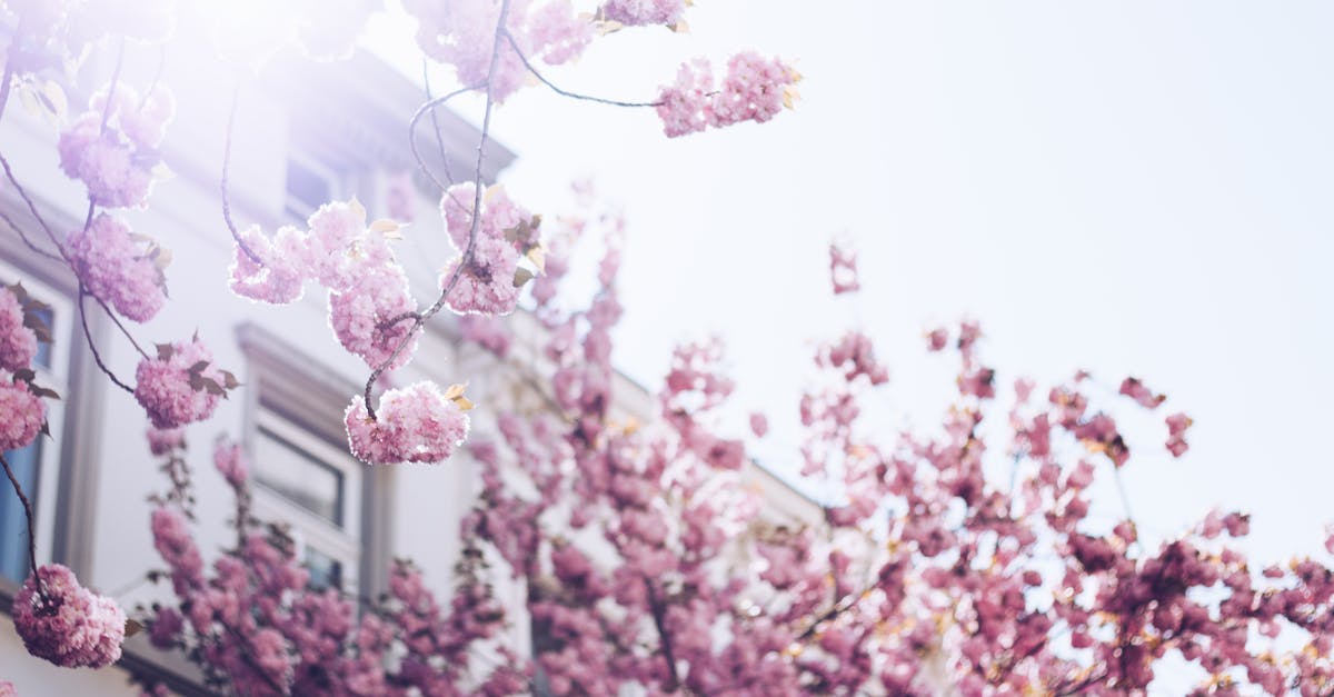 découvrez april lyon, un incontournable de la mode moderne, qui allie élégance et originalité. explorez des collections uniques inspirées par l'art et la culture, pour un style qui vous démarque.