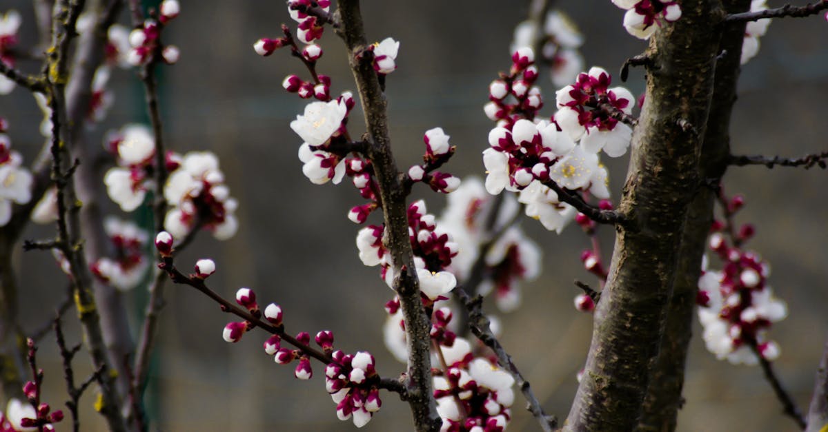découvrez les services april, experts en protection sociale et assurances pour les particuliers et les professionnels. bénéficiez de solutions adaptées à vos besoins et d'un accompagnement personnalisé pour garantir votre sécurité financière.