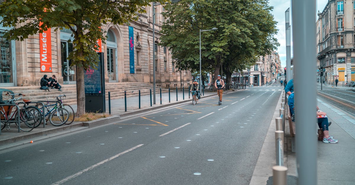 découvrez bordeaux, une ville riche en histoire et en culture, célèbre pour ses vins prestigieux, son architecture raffinée et son patrimoine gastronomique. explorez ses quais animés, visitez ses châteaux viticoles et plongez dans l'ambiance chaleureuse de cette métropole du sud-ouest de la france.