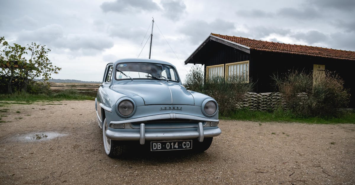 découvrez le monde fascinant des furets ! apprenez tout sur leurs caractéristiques, leurs besoins en matière de soins et les meilleures pratiques pour les garder heureux et en bonne santé. que vous soyez un futur propriétaire ou un passionné, plongez dans l'univers de ces compagnons enjoués.