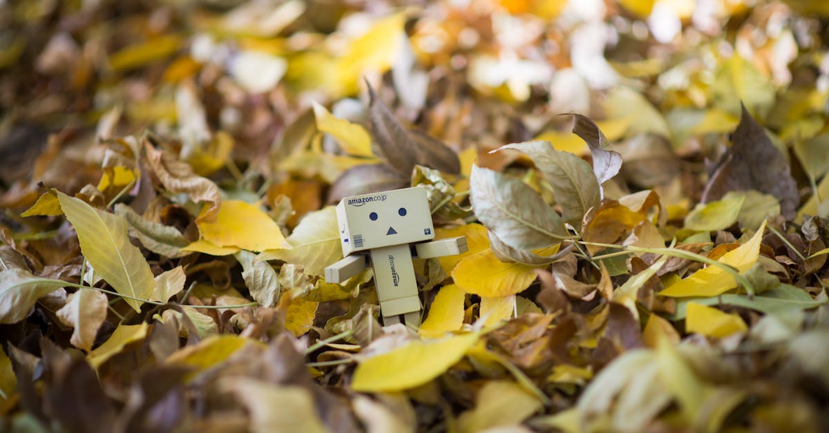 découvrez jp labelette, votre expert en solutions innovantes et créatives. explorez ses services, projets et réalisations qui allient passion et expertise pour transformer vos idées en succès.