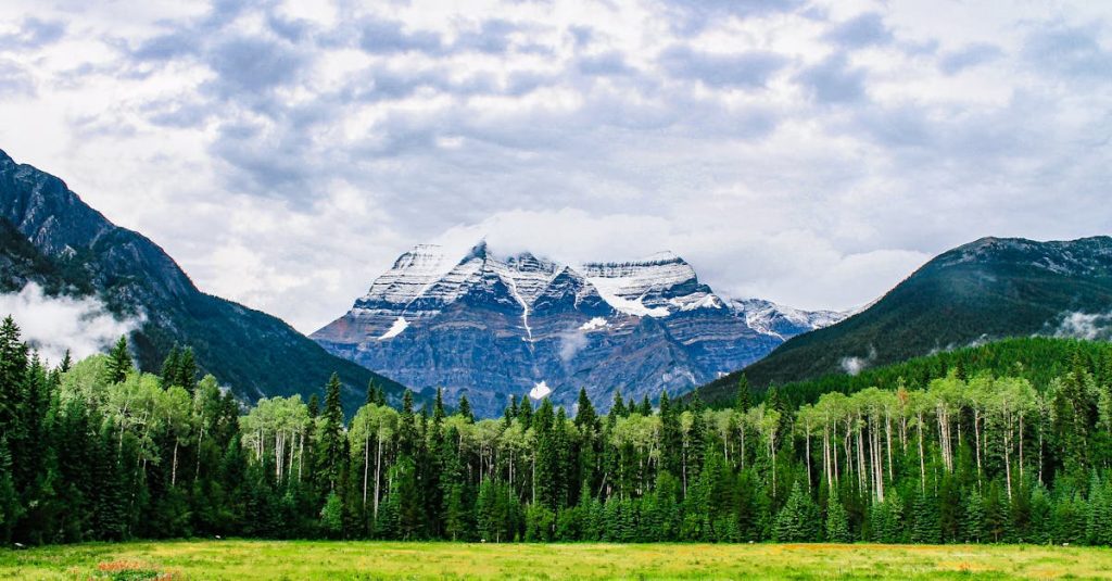 découvrez l'essence de la beauté naturelle avec notre guide sur les méthodes et produits écoresponsables. apprenez à sublimer votre éclat tout en respectant l'environnement.