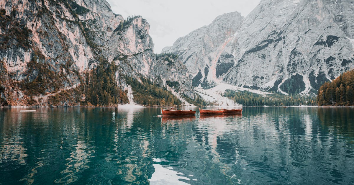 découvrez les secrets de la beauté naturelle avec des conseils et des astuces pour prendre soin de votre peau, cheveux et bien-être. adoptez un mode de vie sain et épanouissant pour révéler votre éclat intérieur.