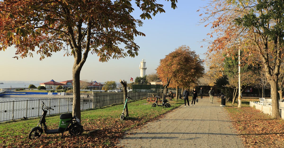 découvrez notre guide complet sur l'assurance scooter : comparez les meilleures offres, trouvez la couverture adaptée à vos besoins et protégez votre véhicule tout en respectant votre budget.