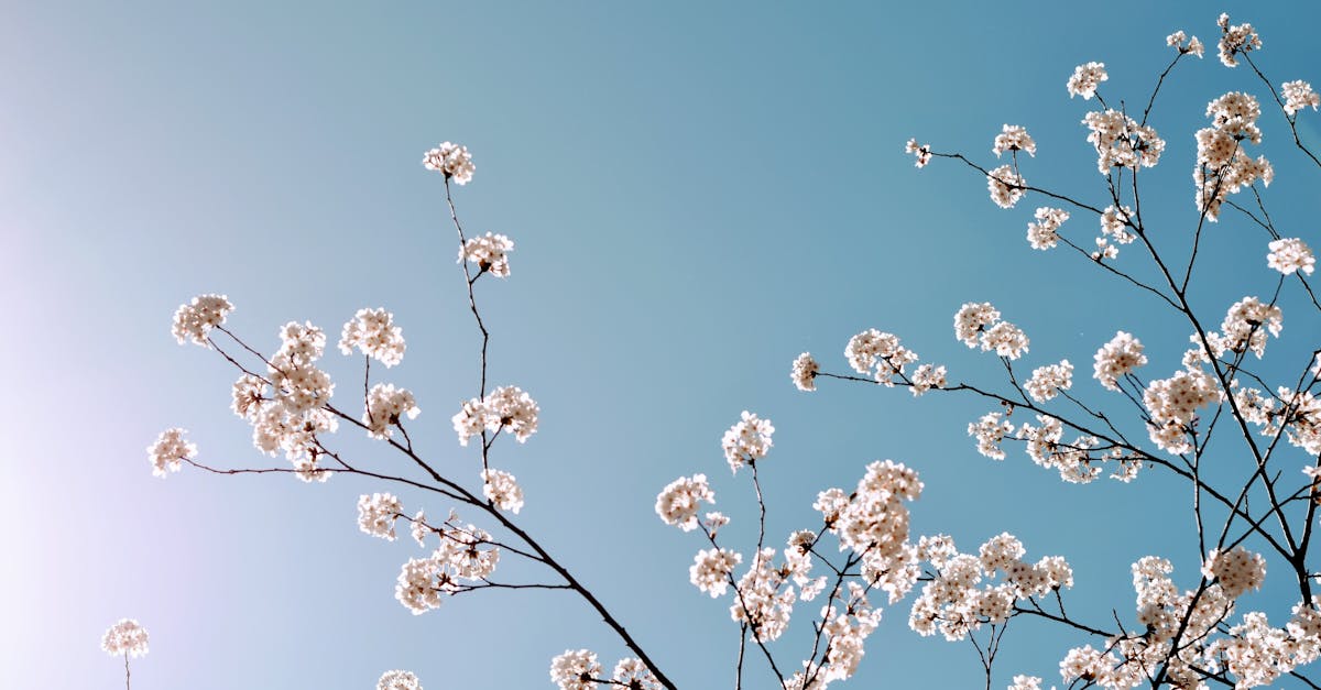 découvrez l'esprit ludique du 1er avril avec notre guide sur les blagues et astuces à ne pas manquer. que vous soyez un farceur ou un amateur de plaisanteries, plongez dans l'univers des canulars et amusez-vous avec vos amis et votre famille !