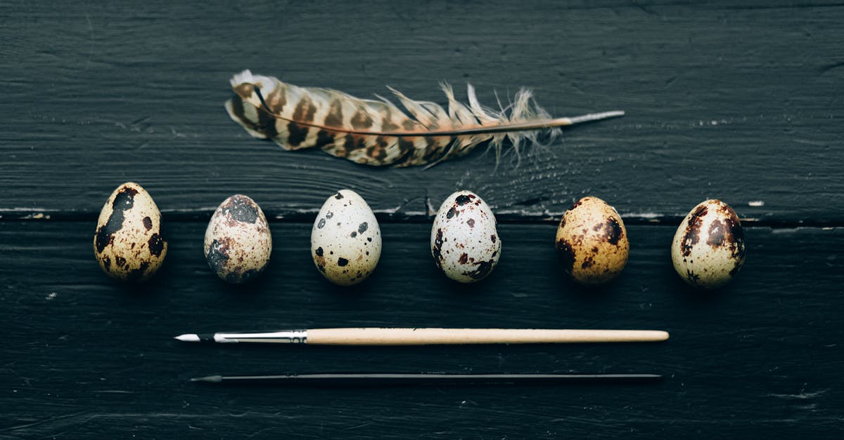 découvrez l'histoire et les traditions entourant le 1er avril, aussi connu sous le nom de poisson d'avril. apprenez des astuces amusantes pour célébrer cette journée remplie de blagues et de rires avec vos amis et votre famille.