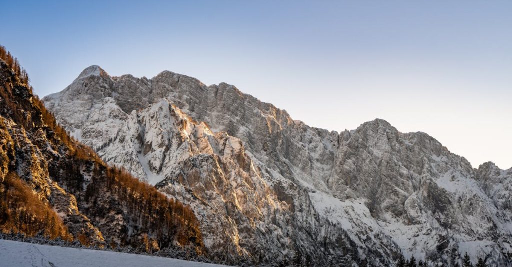 assu 2000 est un acteur majeur de l'assurance en france, offrant des solutions personnalisées pour la protection automobile, habitation, santé et prévoyance. découvrez des offres compétitives et un accompagnement professionnel pour répondre à tous vos besoins en matière d'assurance.
